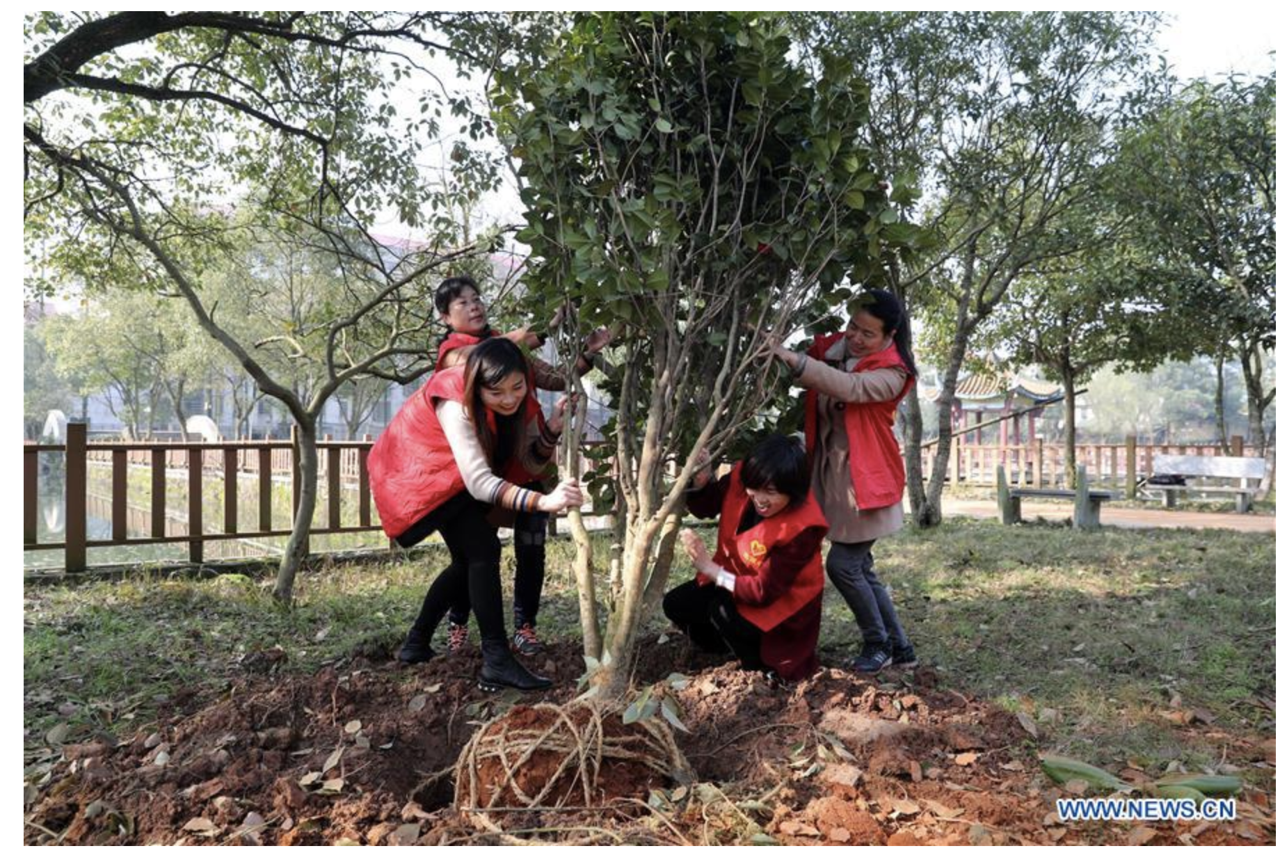 Screenshot 2019-09-01 at 3.15.52 PM