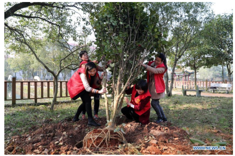 Screenshot 2019-09-01 at 3.15.52 PM